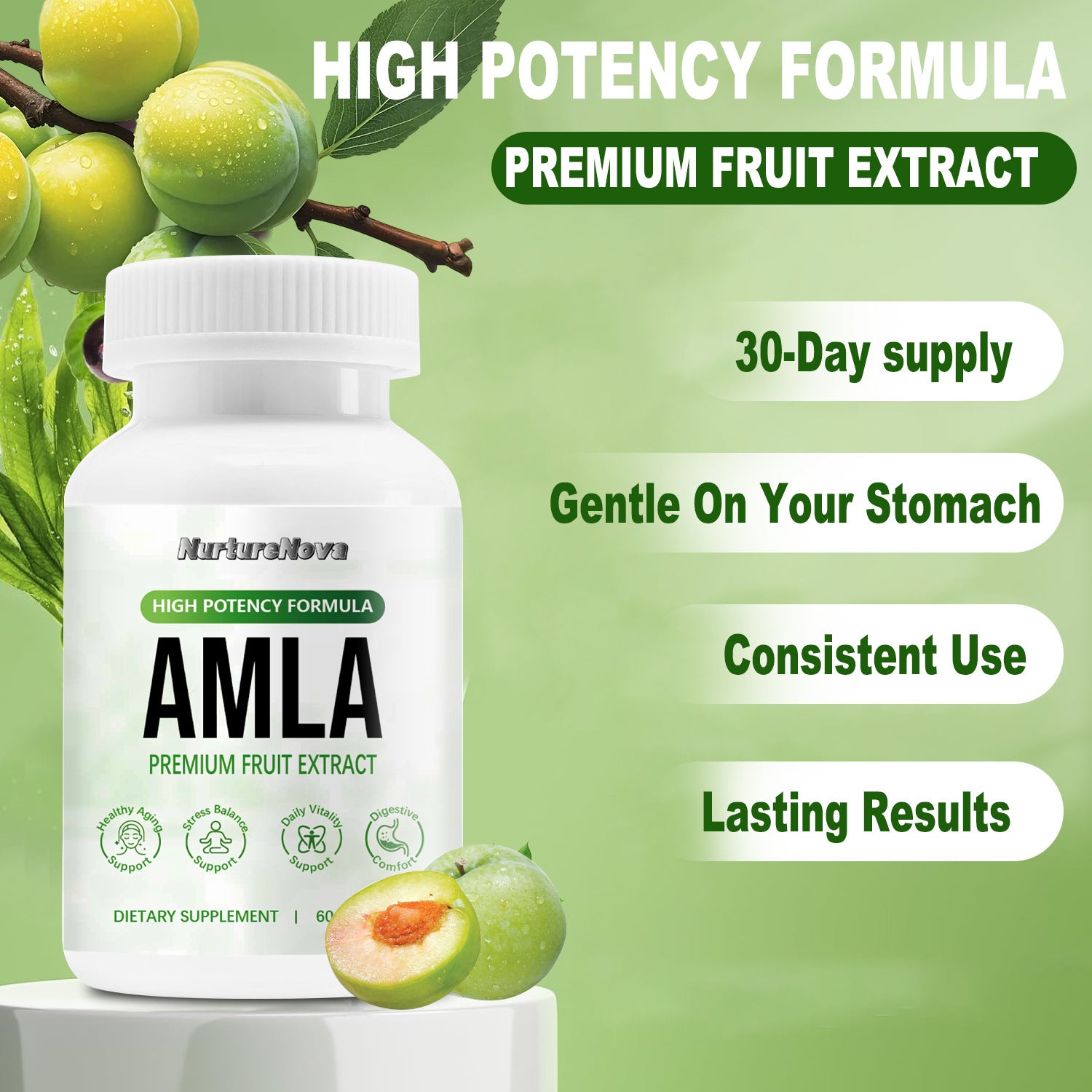 Amla Fruit Capsules - Daily Vitality Support | 60 Capsules | Dropship