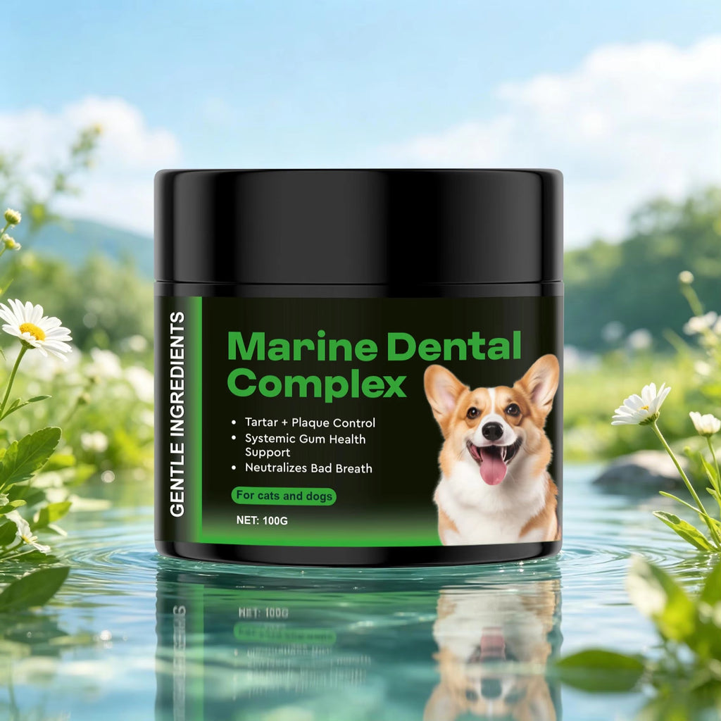 Marine Dental Complex Powder for Dogs & Cats - Support Gum Health |100g|Dropship