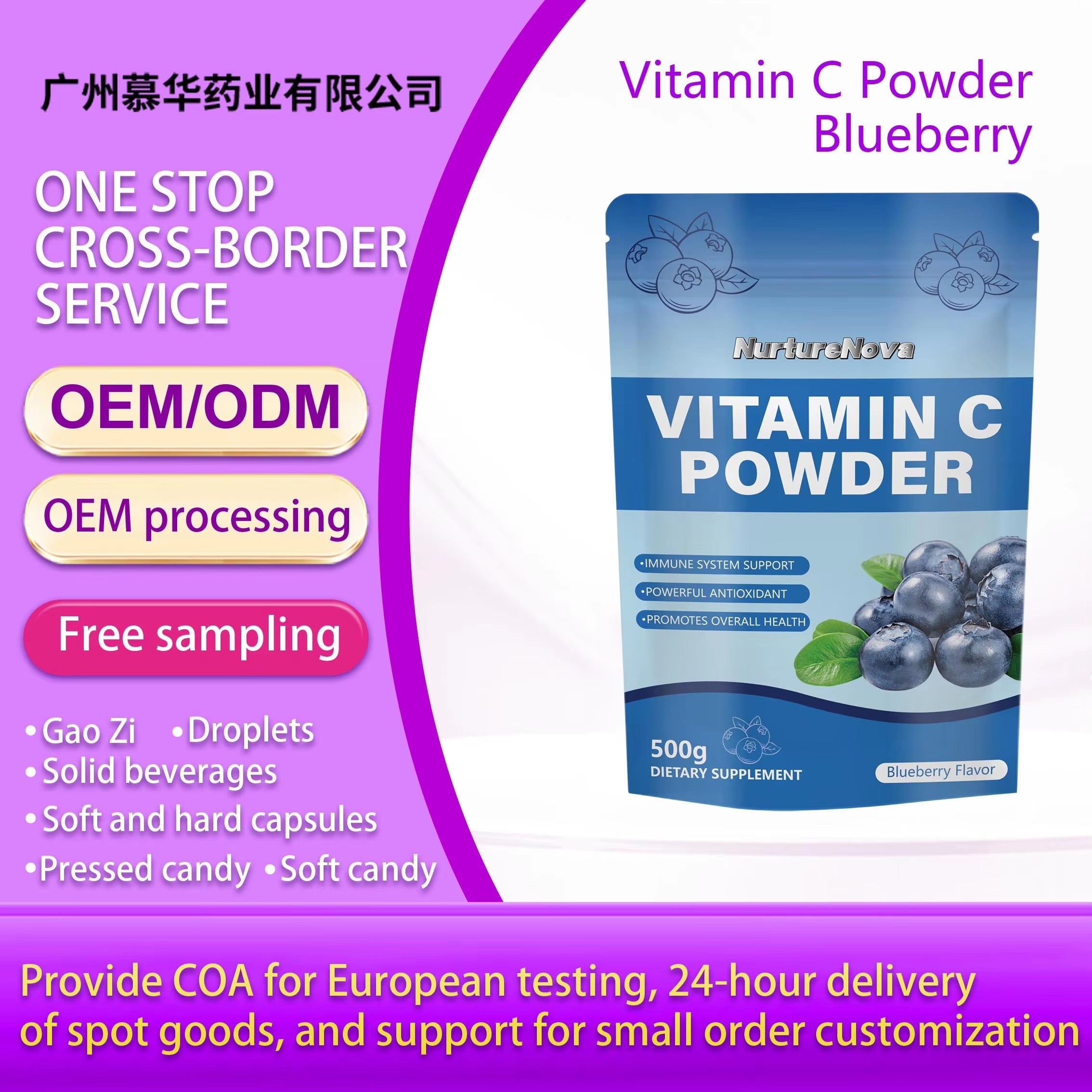 Blueberry Vitamin C Powder - Immune & Antioxidant Support | 500g | Dropship