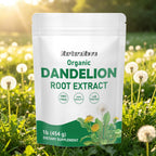 Dandelion Root Extract Powder - Body Detox Support |454g|Dropship