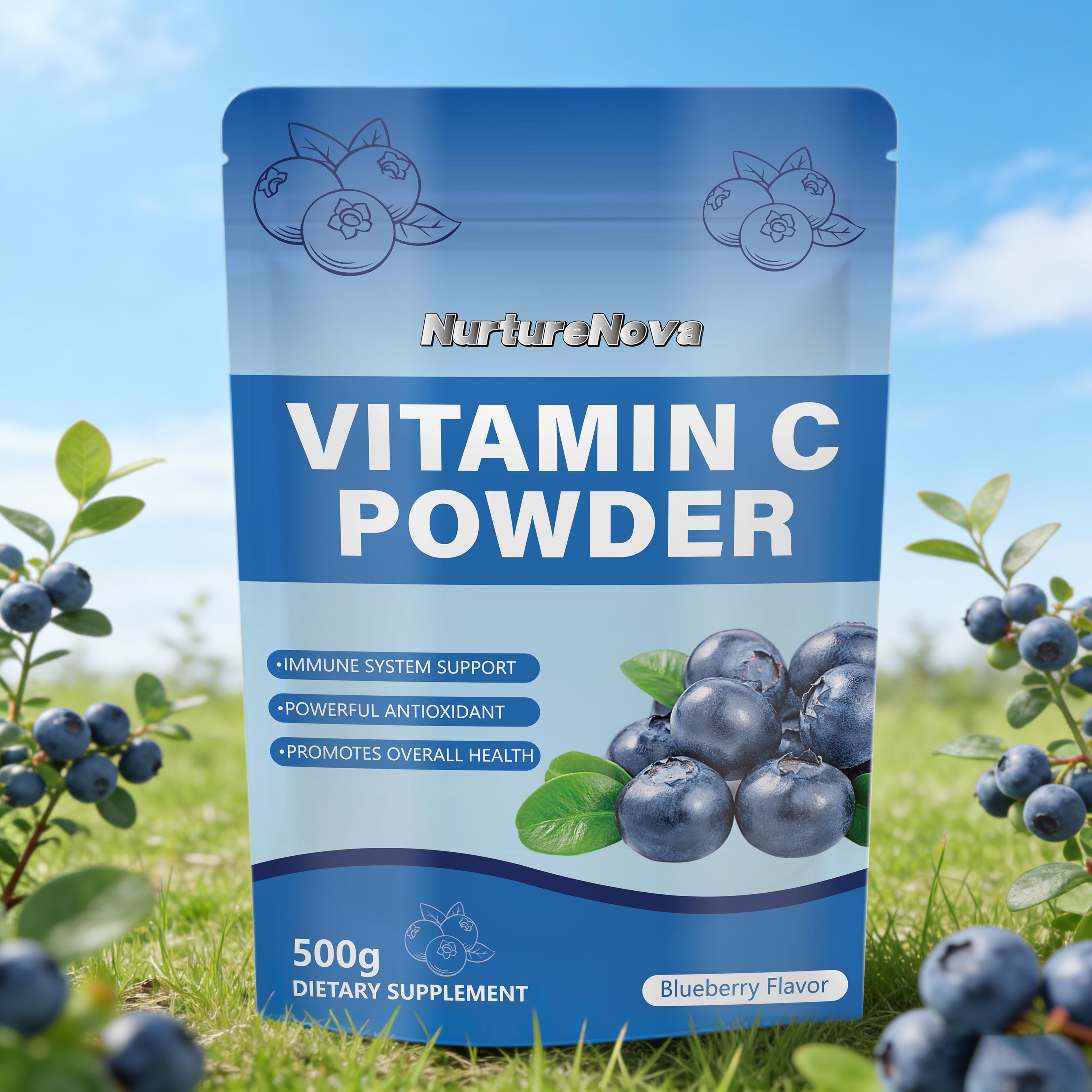 Blueberry Vitamin C Powder - Immune & Antioxidant Support | 500g | Dropship