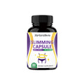 Slimming Capsules - Fat Burning |60 Capsules|Dropship