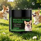 Marine Dental Complex Powder for Dogs & Cats - Support Gum Health |100g|Dropship