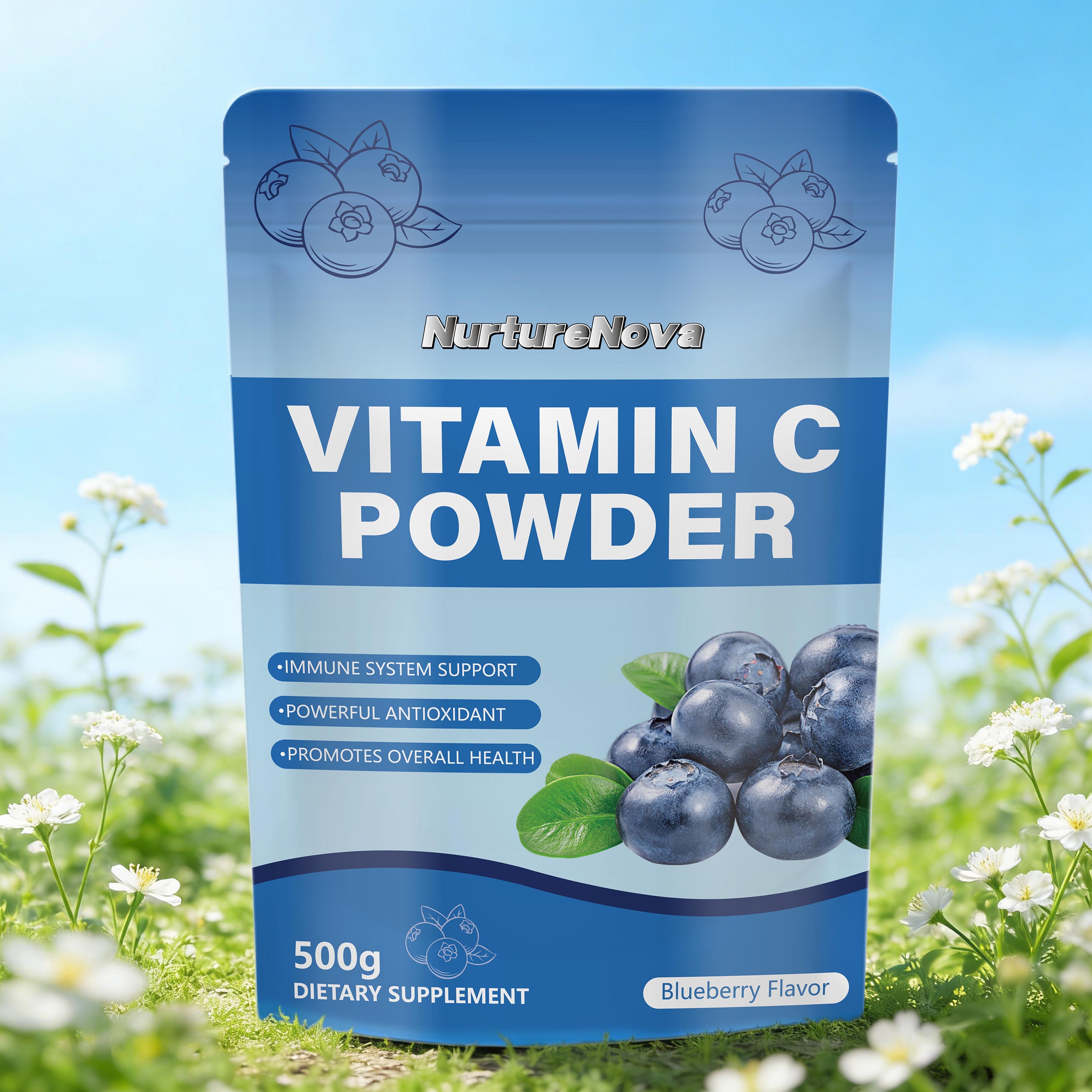 Blueberry Vitamin C Powder - Immune & Antioxidant Support | 500g | Dropship