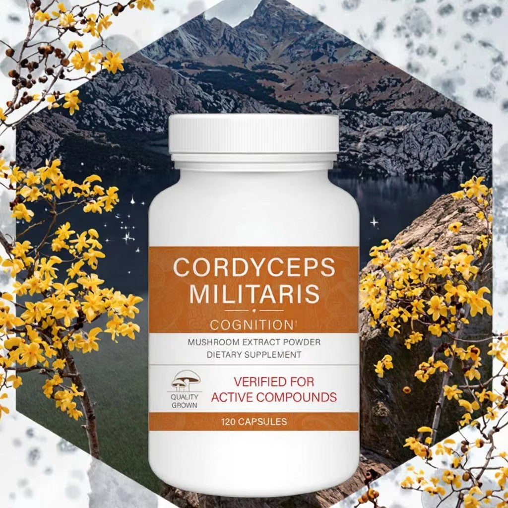 Ganoderma Cognition Capsules - Brain & Wellness | 60ct | Dropship