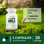 Amla Fruit Capsules - Daily Vitality Support | 60 Capsules | Dropship