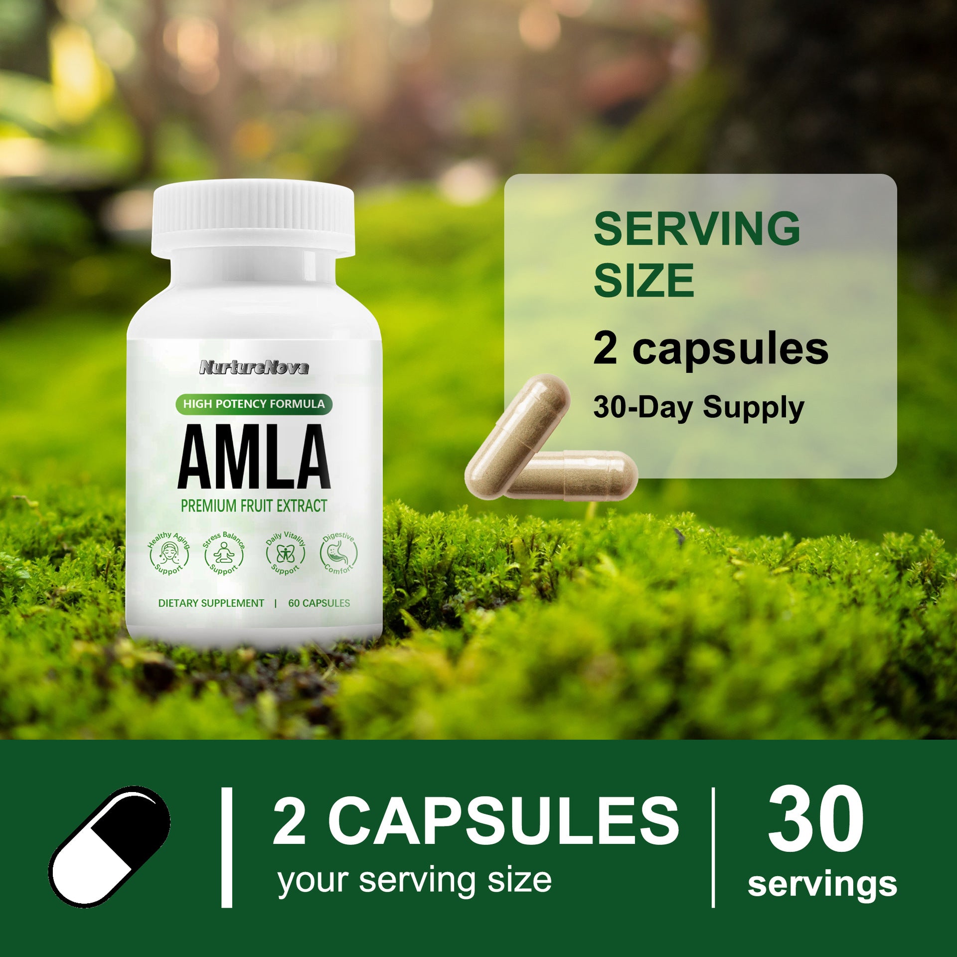 Amla Fruit Capsules - Daily Vitality Support | 60 Capsules | Dropship